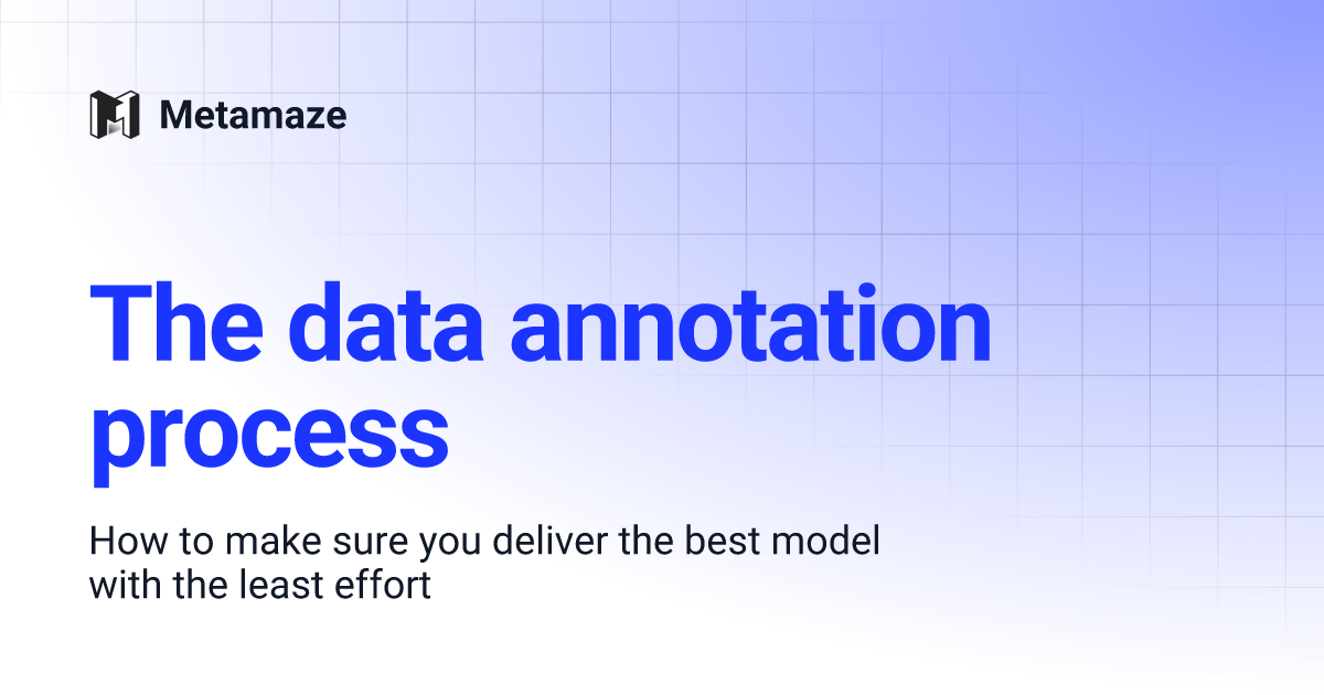 The data annotation process | Metamaze